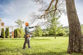 Best Tree Mulching Services  in East Bakersfield, CA